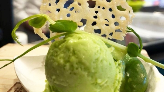 Foto Facebook @TerraGelato